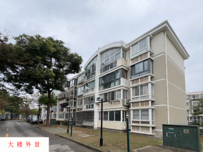 上海市浦东新区芦潮港潮乐路3弄15号201室的房地产