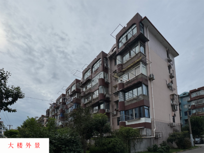 上海市宝山区淞南十村217号602室房产