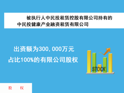 被执行人中民投租赁控股有限公司持有的中民投健康产业融资租赁有限公司出资额为300000万元，占比100%的有限公司股权